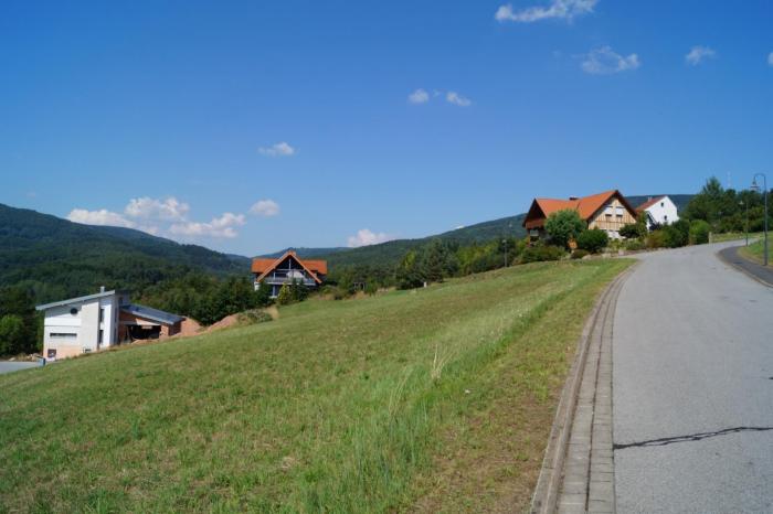 Blick entlang des Bauplatzes in die Frohmass (nördliche Blickrichtung)